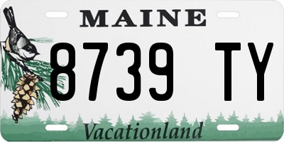 ME license plate 8739TY