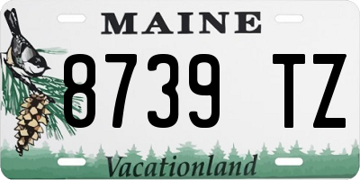 ME license plate 8739TZ