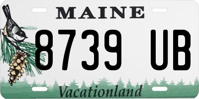 ME license plate 8739UB
