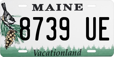 ME license plate 8739UE
