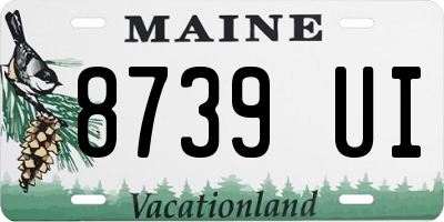 ME license plate 8739UI