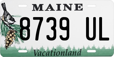 ME license plate 8739UL