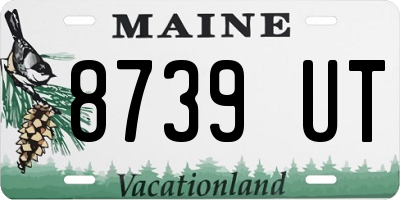 ME license plate 8739UT