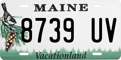 ME license plate 8739UV