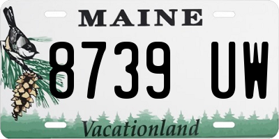 ME license plate 8739UW