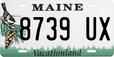 ME license plate 8739UX