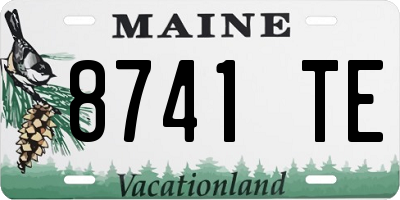 ME license plate 8741TE