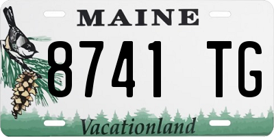 ME license plate 8741TG