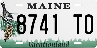 ME license plate 8741TO
