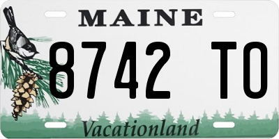 ME license plate 8742TO