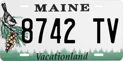 ME license plate 8742TV