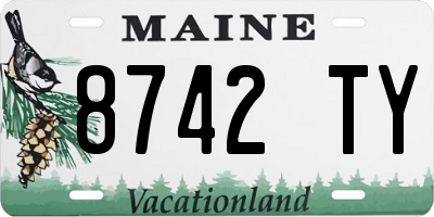 ME license plate 8742TY
