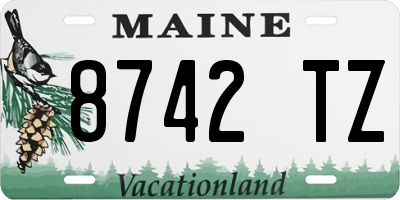 ME license plate 8742TZ
