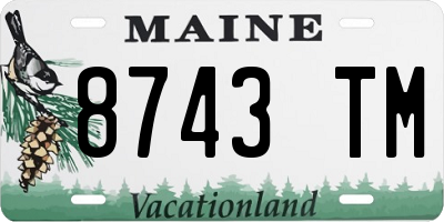 ME license plate 8743TM