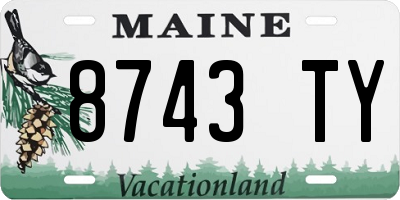 ME license plate 8743TY