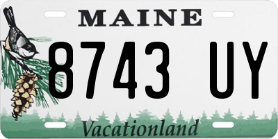 ME license plate 8743UY