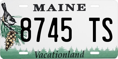 ME license plate 8745TS