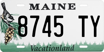 ME license plate 8745TY