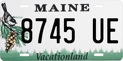 ME license plate 8745UE