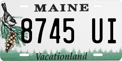 ME license plate 8745UI
