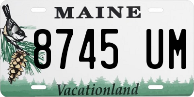 ME license plate 8745UM