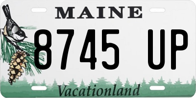 ME license plate 8745UP