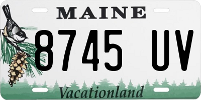 ME license plate 8745UV