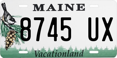 ME license plate 8745UX