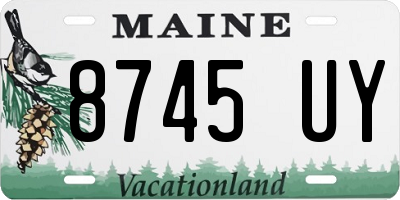 ME license plate 8745UY