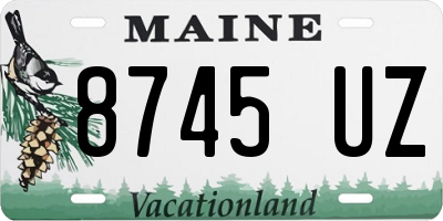 ME license plate 8745UZ
