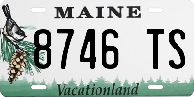 ME license plate 8746TS