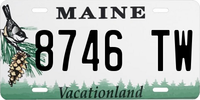 ME license plate 8746TW