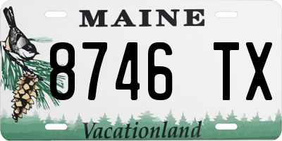 ME license plate 8746TX