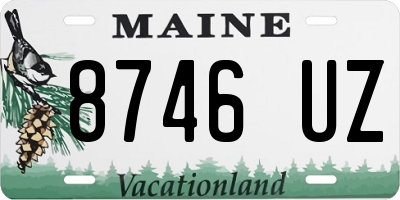 ME license plate 8746UZ