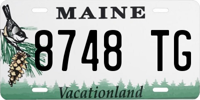 ME license plate 8748TG