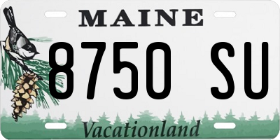 ME license plate 8750SU