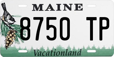 ME license plate 8750TP