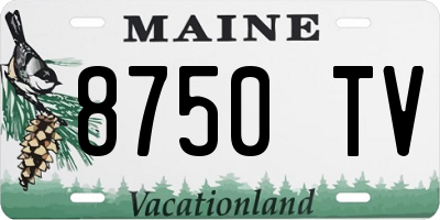 ME license plate 8750TV