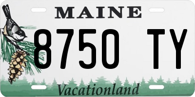 ME license plate 8750TY