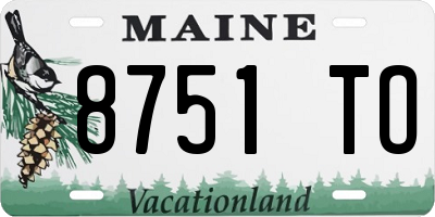 ME license plate 8751TO