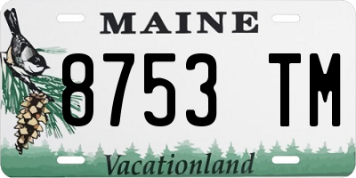 ME license plate 8753TM