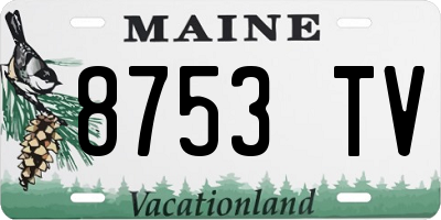 ME license plate 8753TV