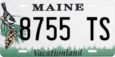 ME license plate 8755TS