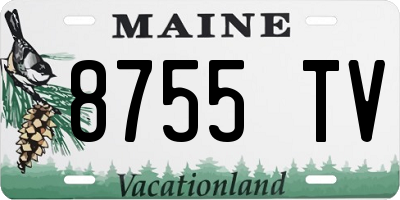 ME license plate 8755TV