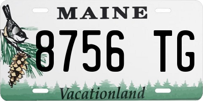 ME license plate 8756TG