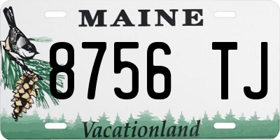 ME license plate 8756TJ