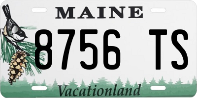 ME license plate 8756TS