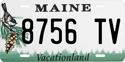ME license plate 8756TV
