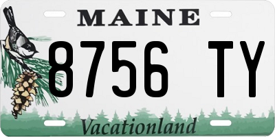 ME license plate 8756TY