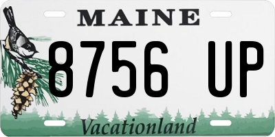 ME license plate 8756UP